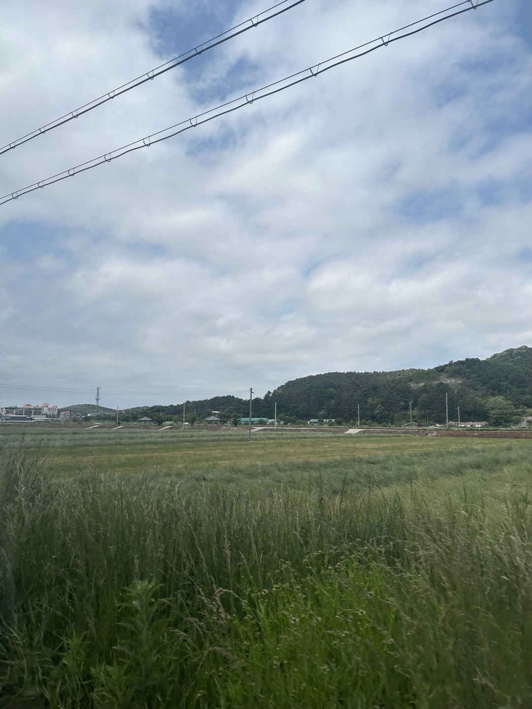 도청마을 풍경 2